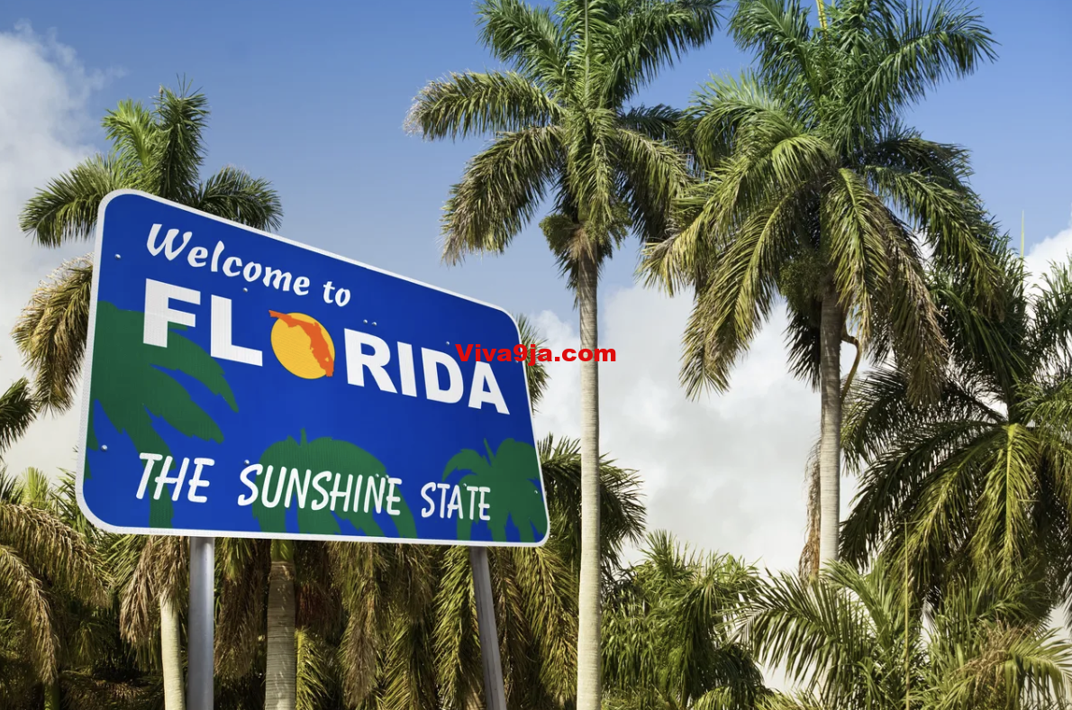 College Students Offshore Gambling Strategy Nets $130 a Day in Sunshine State