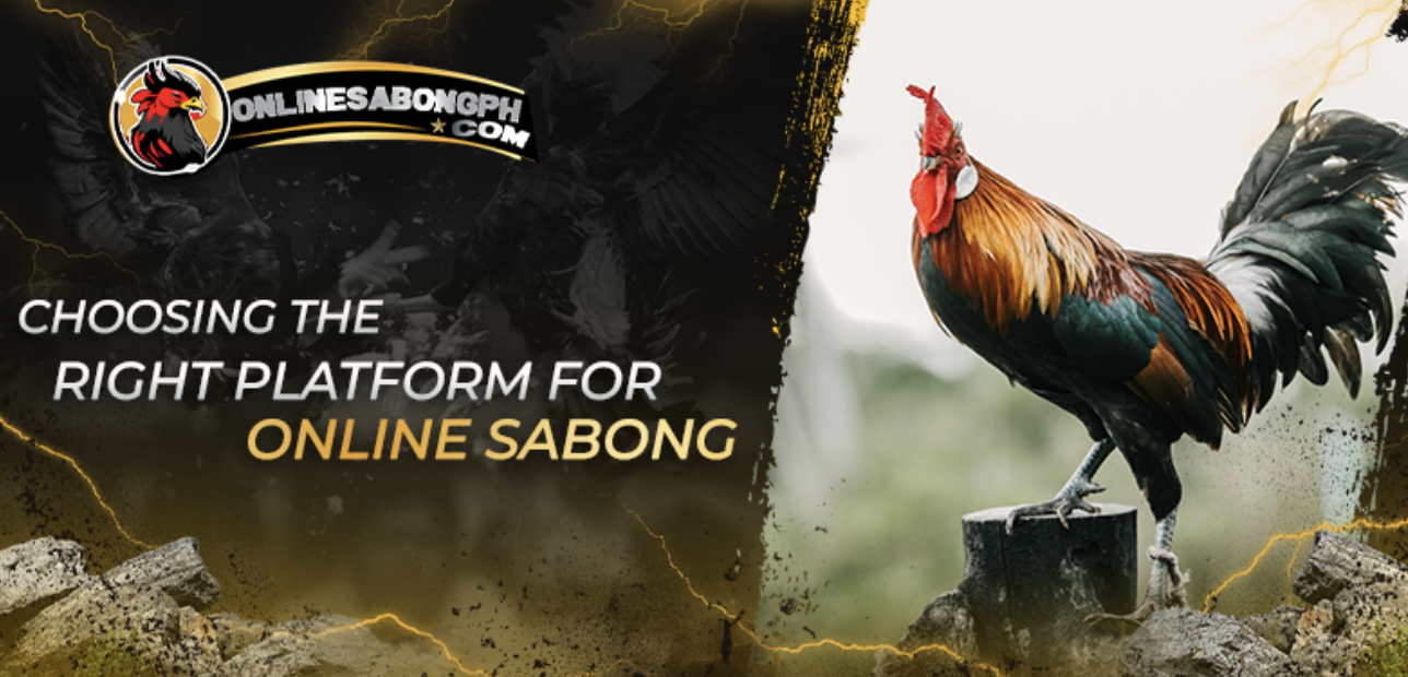 Best Sites to Bet Online Sabong